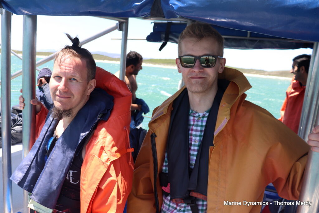 Shark cage diving, South Africa, Gansbaai