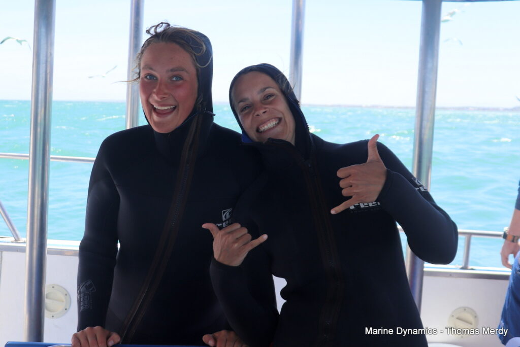 Shark cage diving, South Africa, Gansbaai