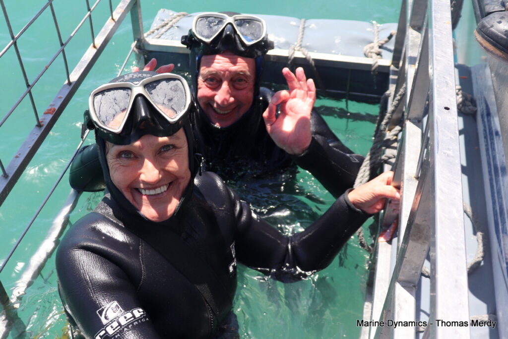 Shark cage diving, South Africa, Gansbaai
