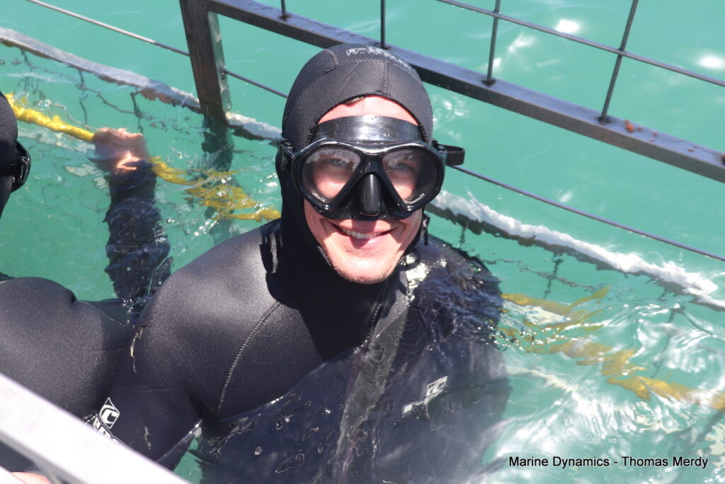 Shark cage diving, South Africa, Gansbaai