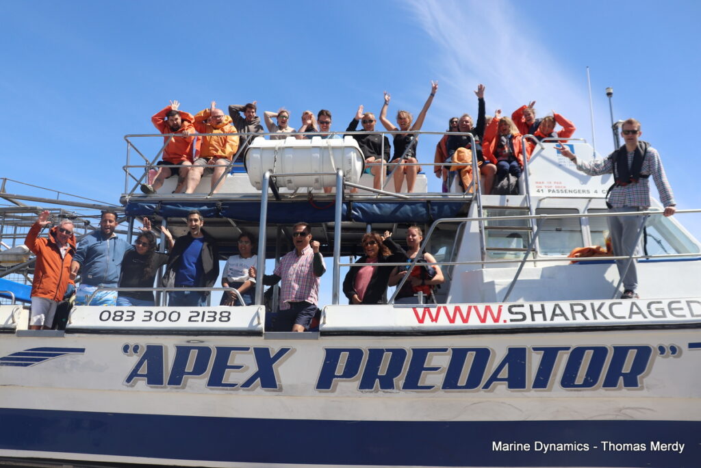 Shark cage diving, South Africa, Gansbaai
