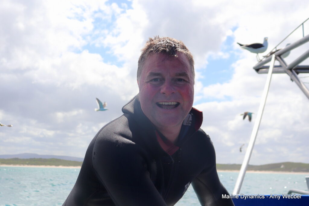 Shark cage diving, Gansbaai, South Africa