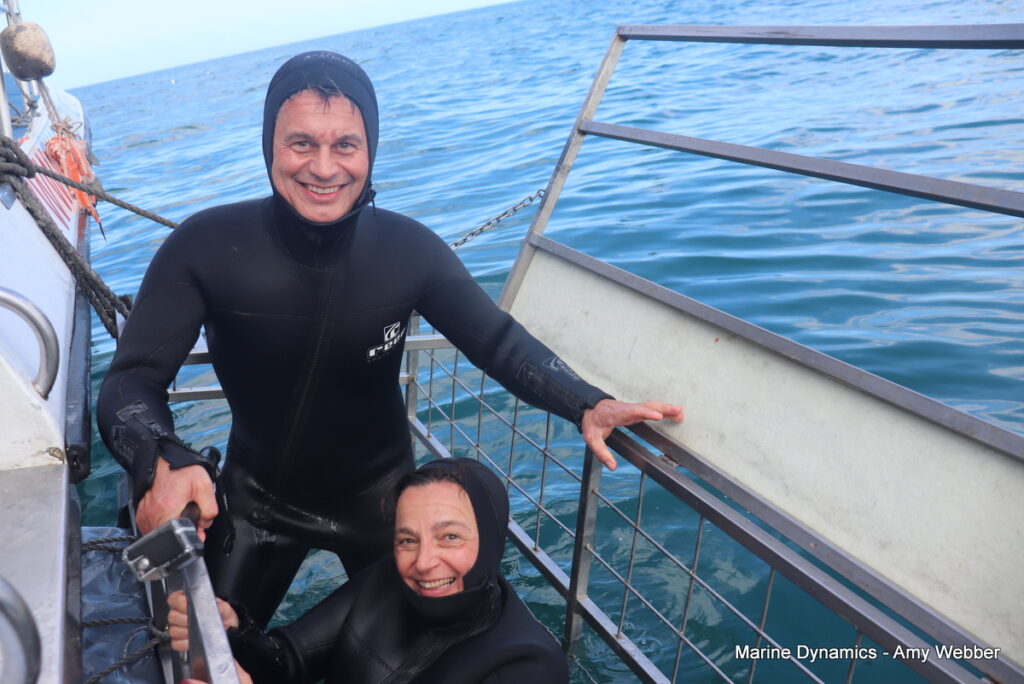 Shark cage diving, Gansbaai, South Africa