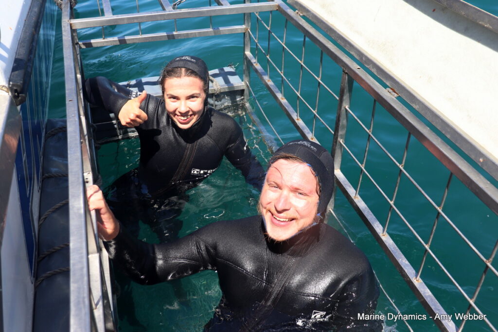 Shark cage diving, Gansbaai, South Africa