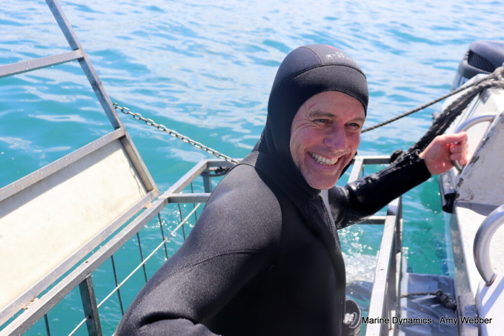 Shark cage diving, Gansbaai, South Africa
