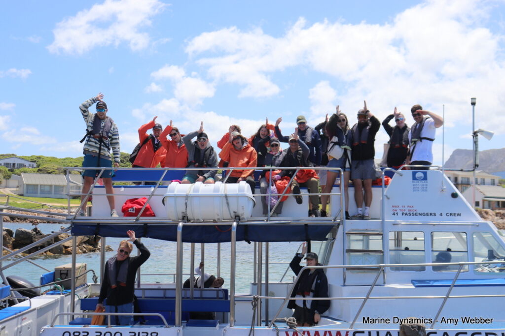 Shark cage diving, Gansbaai, South Africa