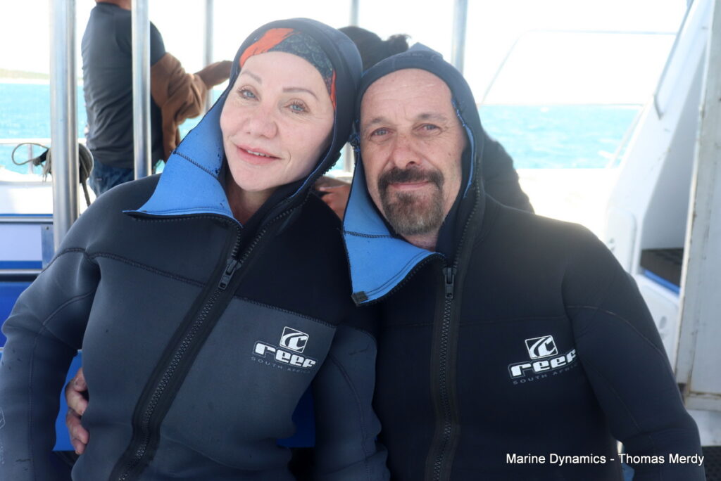 Shark cage diving, South Africa, Gansbaai