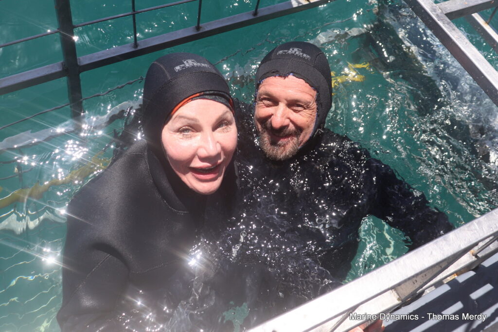 Shark cage diving, South Africa, Gansbaai