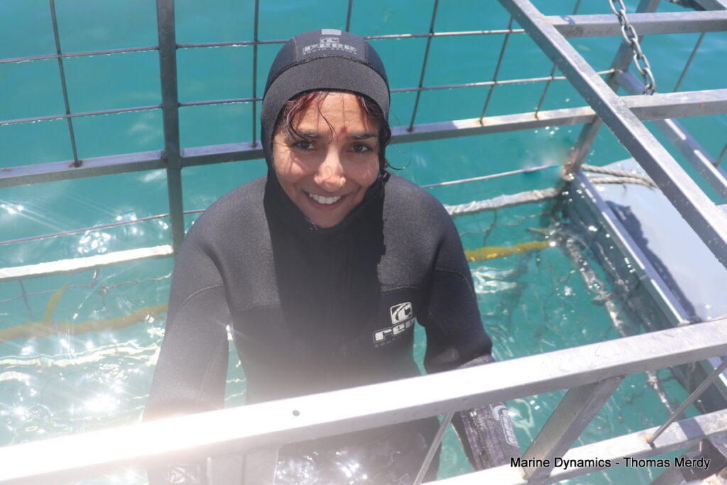 Shark cage diving, South Africa, Gansbaai