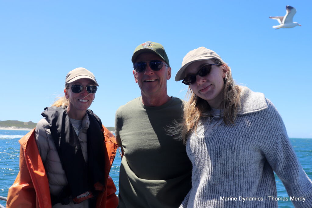 South Africa, Gansbaai, Shark cage diving