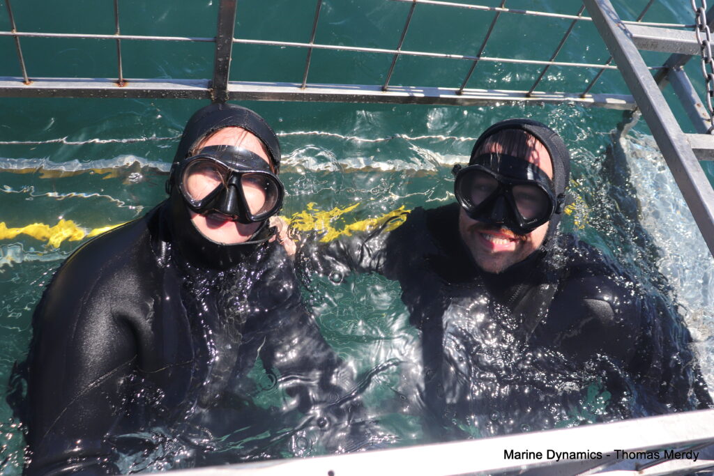 South Africa, Gansbaai, Shark cage diving