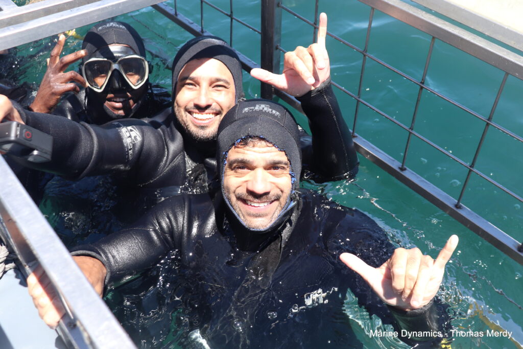 South Africa, Gansbaai, Shark cage diving
