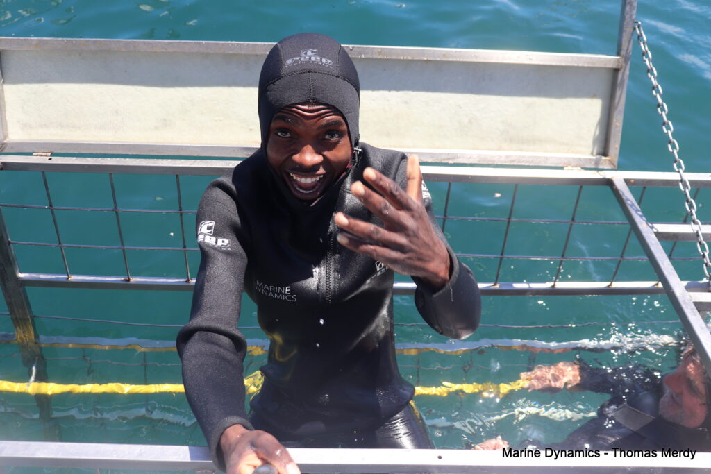 South Africa, Gansbaai, Shark cage diving