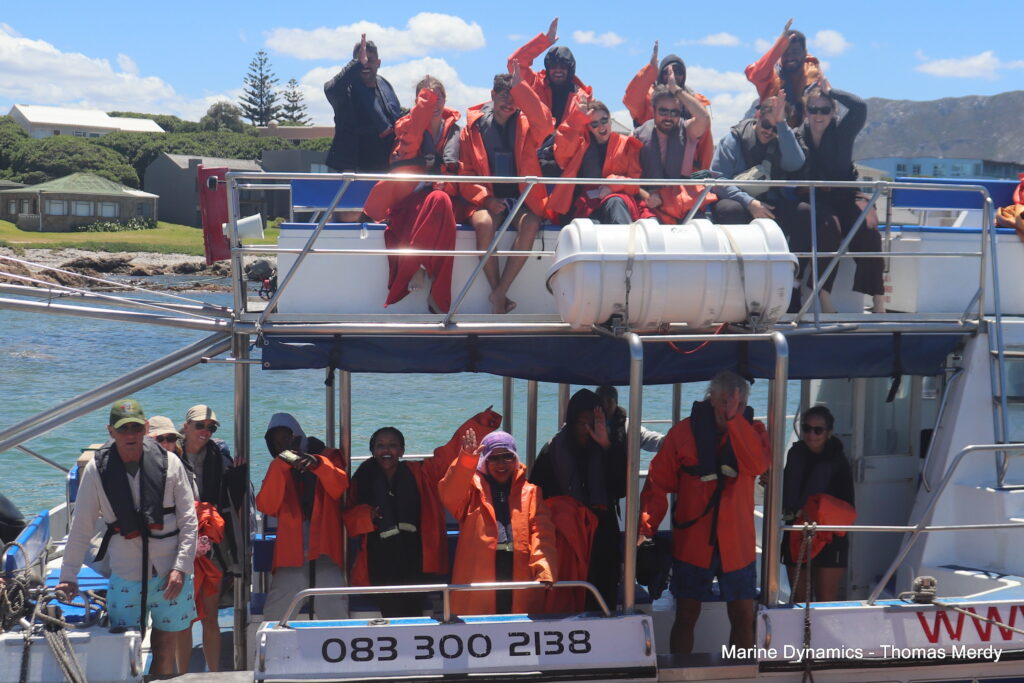 South Africa, Gansbaai, Shark cage diving