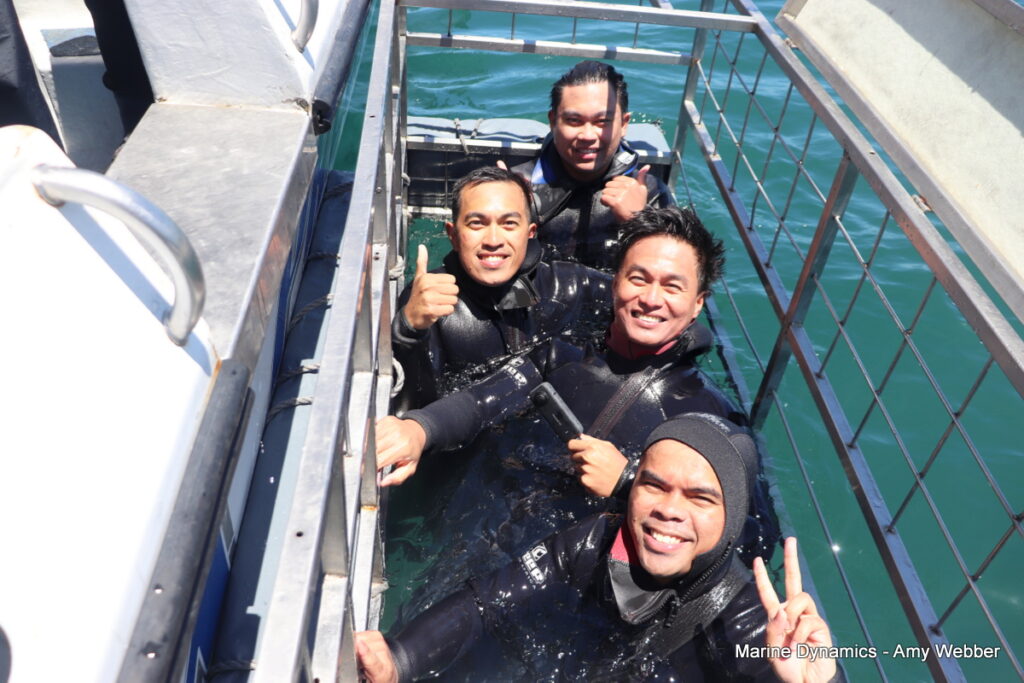 Shark cage diving, Gansbaai, South Africa