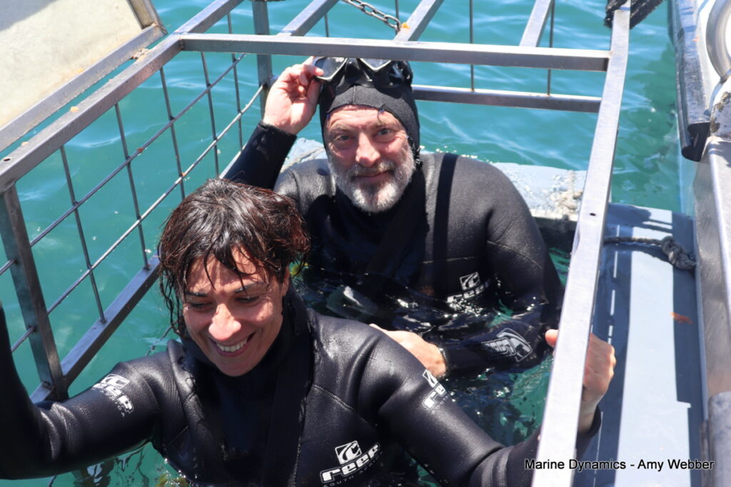 Shark cage diving, Gansbaai, South Africa