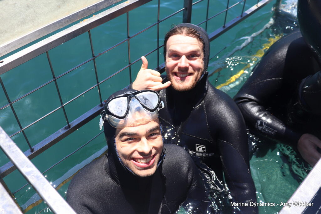 Shark cage diving, Gansbaai, South Africa