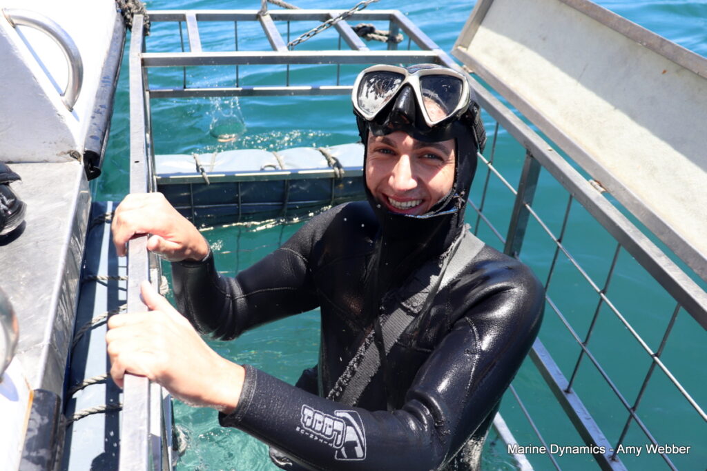 Shark cage diving, Gansbaai, South Africa
