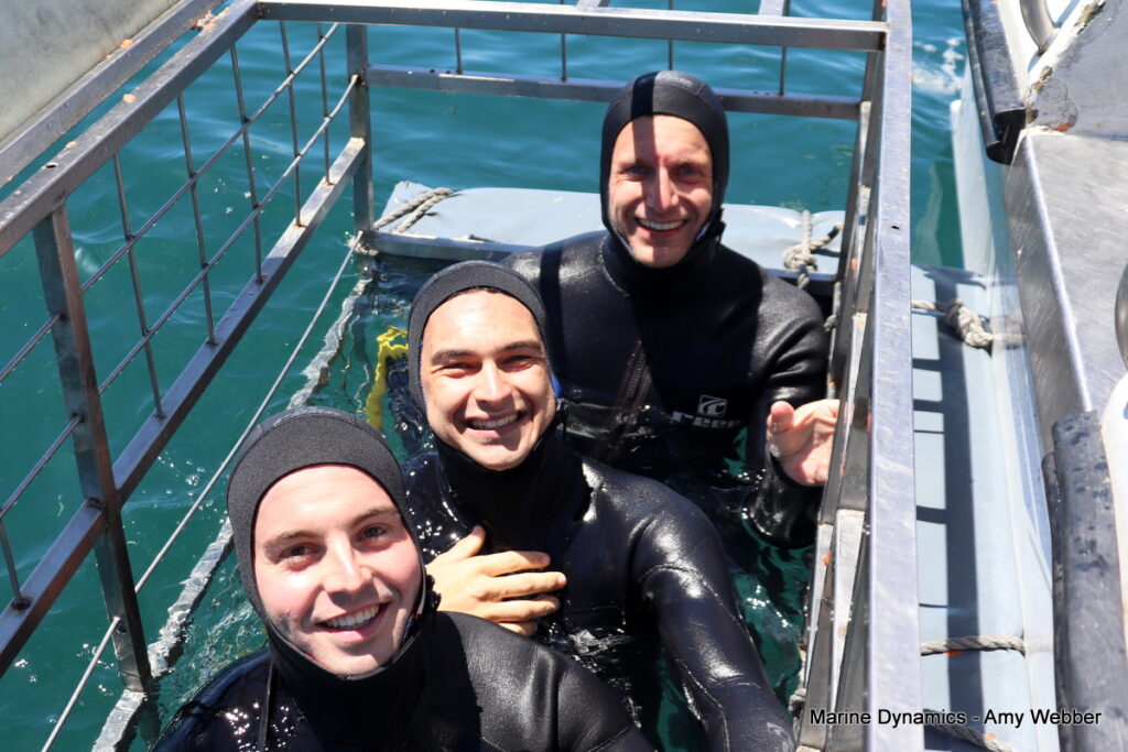 Shark cage diving, Gansbaai, South Africa