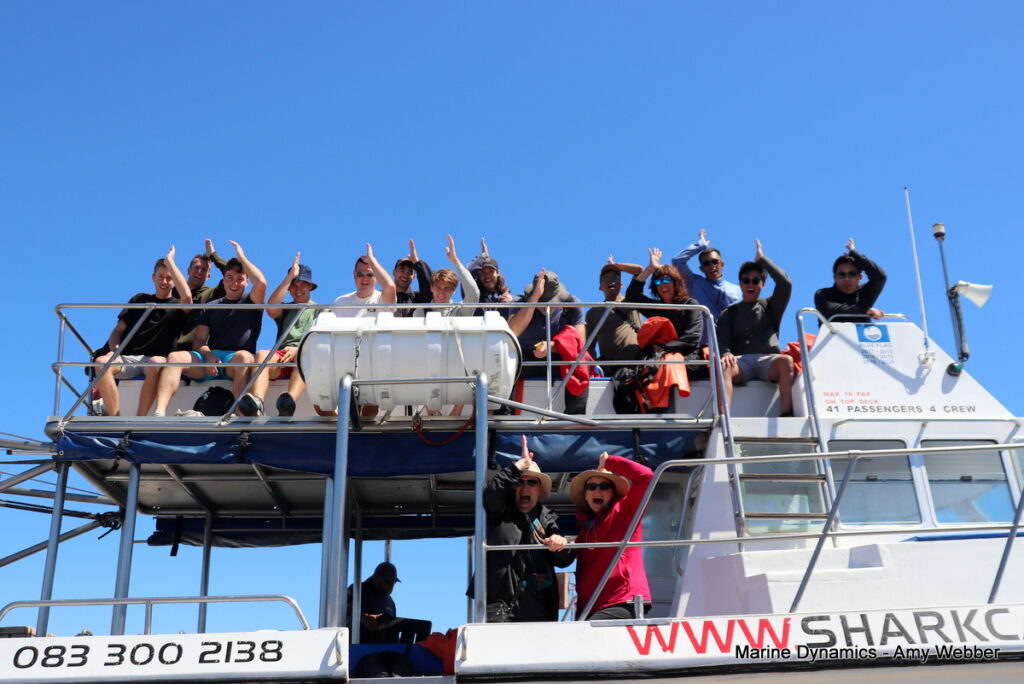 Shark cage diving, Gansbaai, South Africa