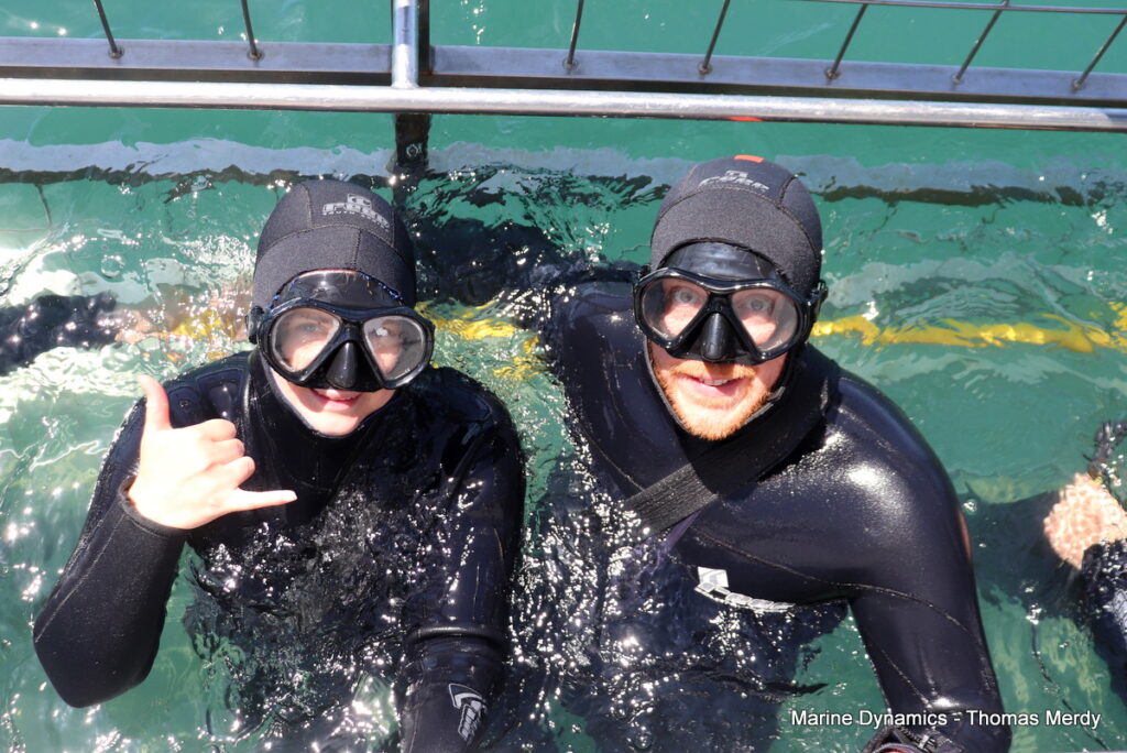 Shark cage diving, South Africa, Gansbaai