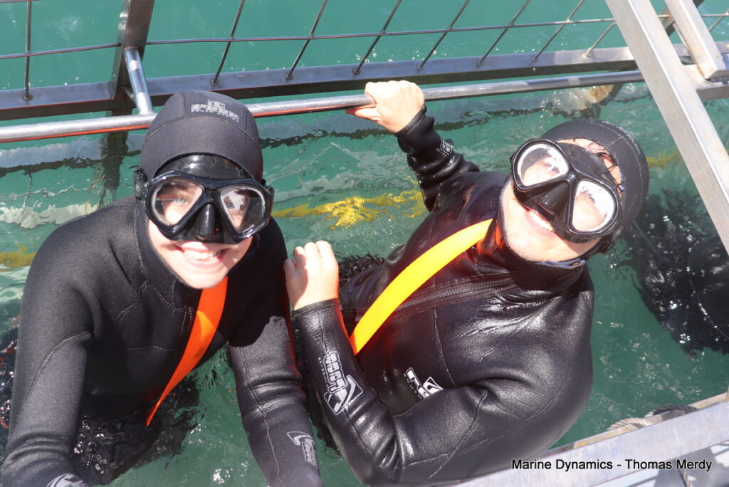 Shark cage diving, South Africa, Gansbaai