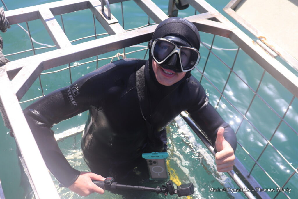 Shark cage diving, South Africa, Gansbaai