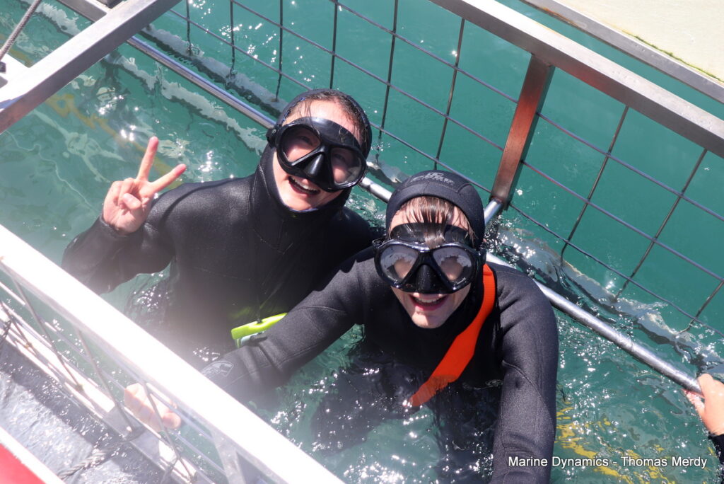 Shark cage diving, South Africa, Gansbaai