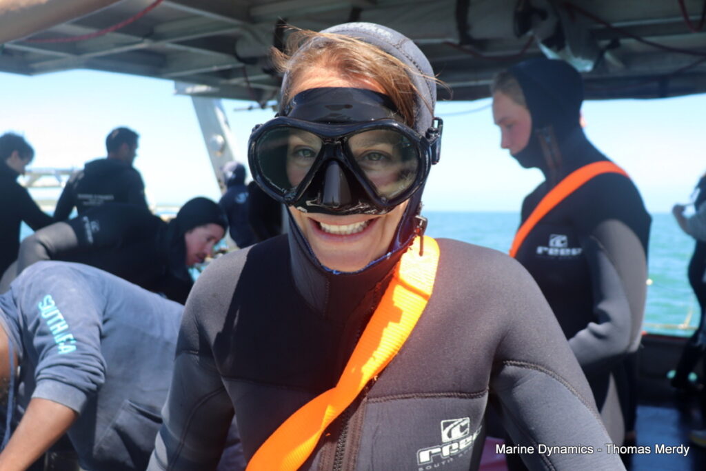 Shark cage diving, South Africa, Gansbaai