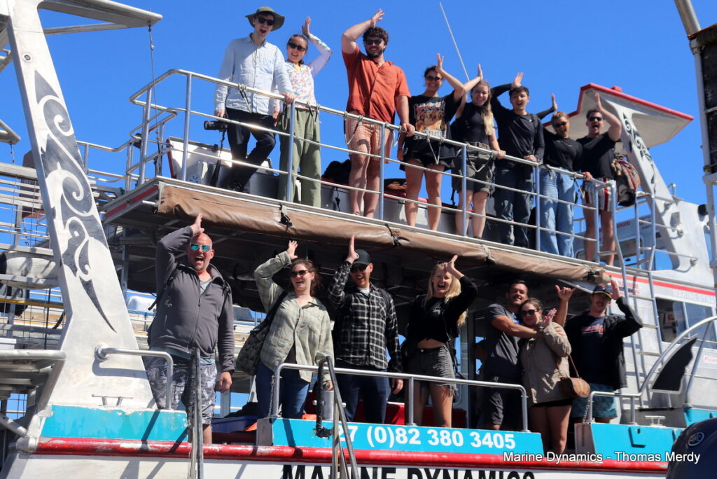 Shark cage diving, South Africa, Gansbaai
