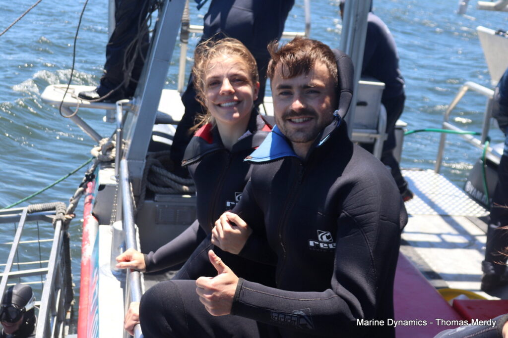 Shark cage diving, South Africa, Gansbaai