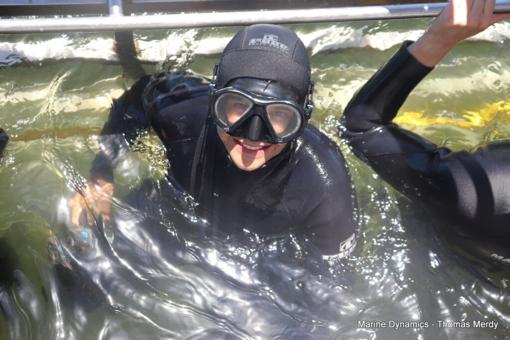 Shark cage diving, South Africa, Gansbaai