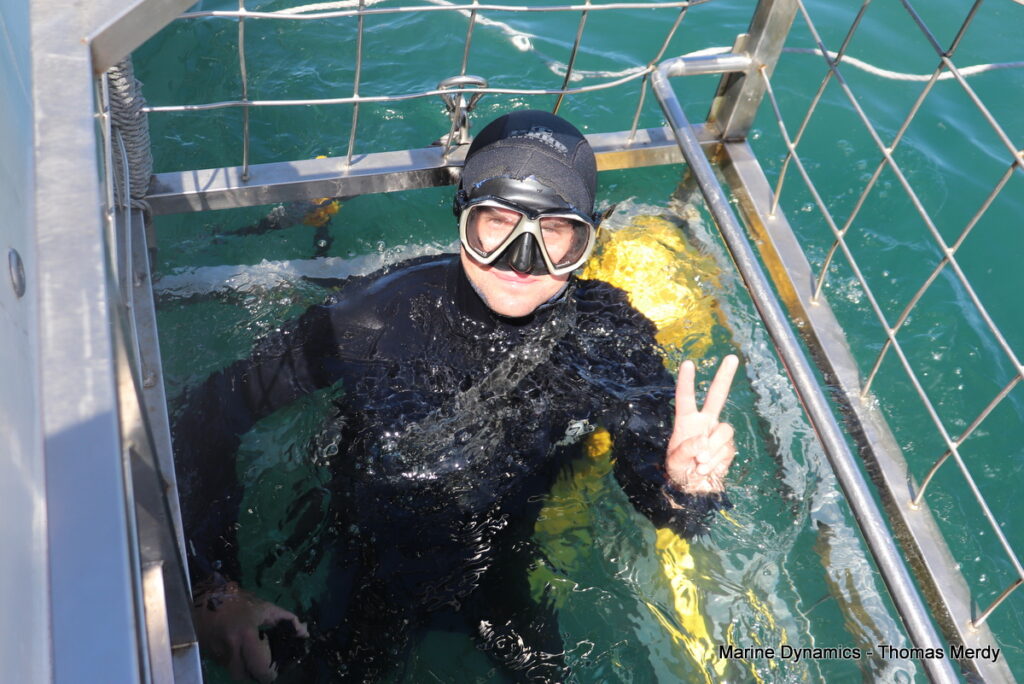 Shark cage diving, South Africa, Gansbaai
