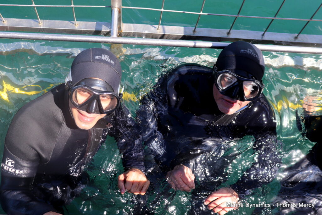 Shark cage diving, South Africa, Gansbaai