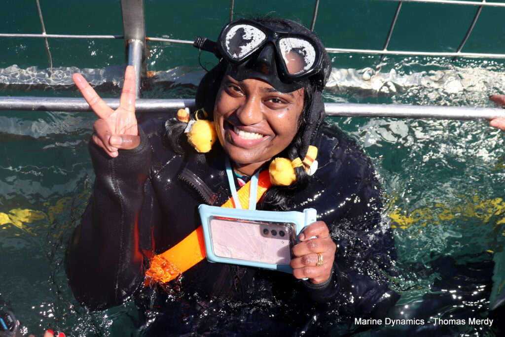 Shark cage diving, South Africa, Gansbaai