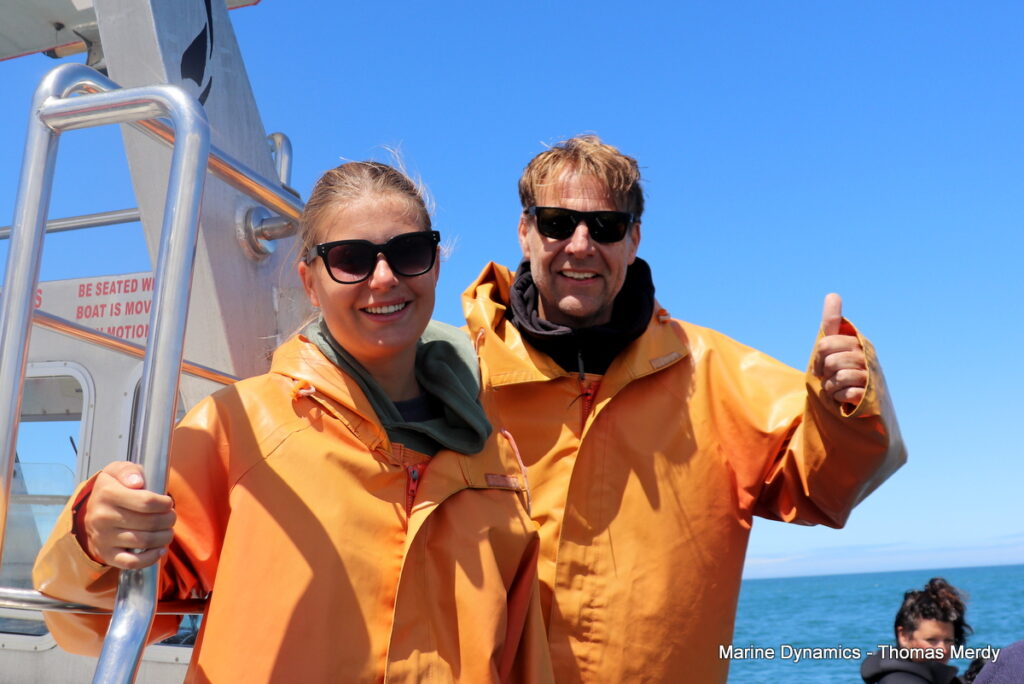 Shark cage diving, South Africa, Gansbaai