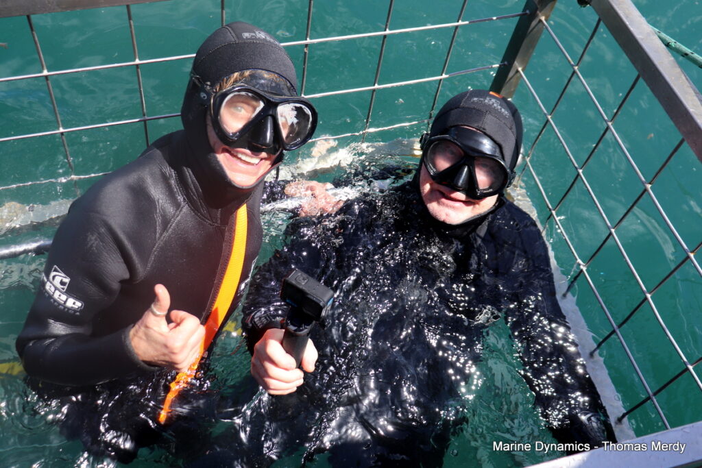Shark cage diving, South Africa, Gansbaai