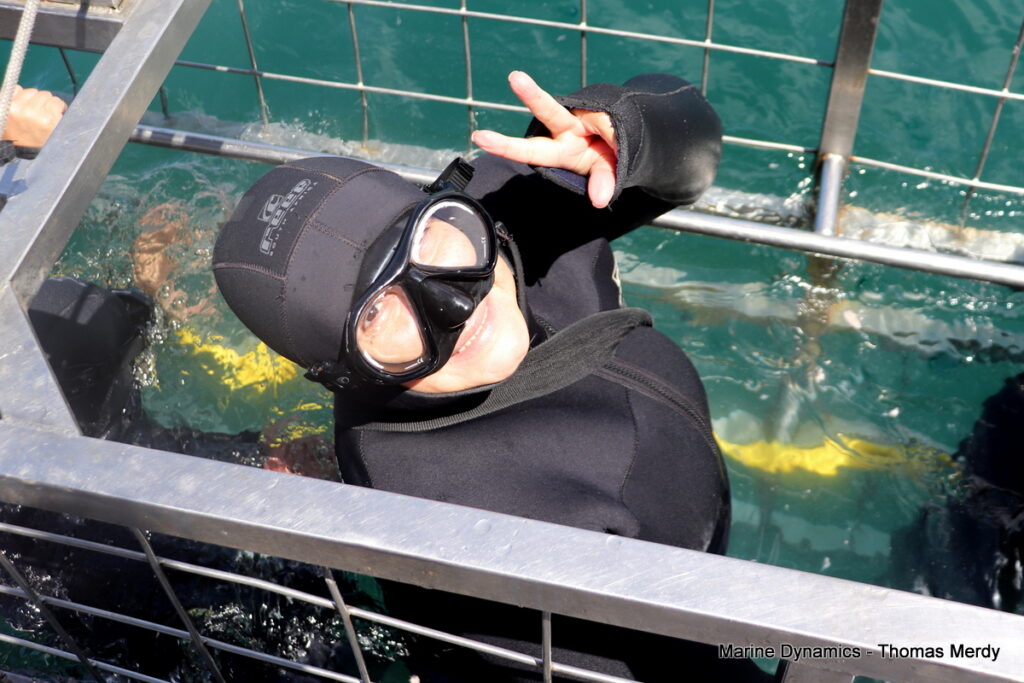 Shark cage diving, South Africa, Gansbaai