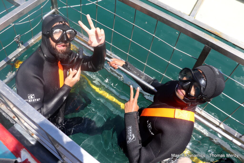 Shark cage diving, South Africa, Gansbaai
