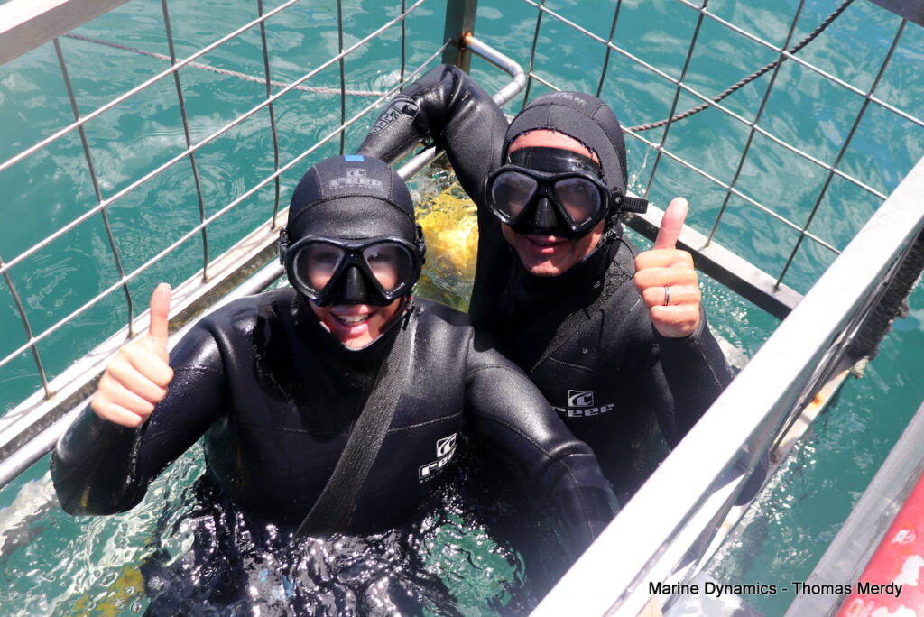 Shark cage diving, South Africa, Gansbaai