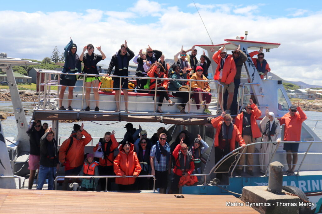 Shark cage diving, South Africa, Gansbaai