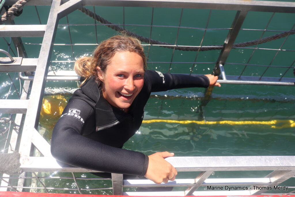 Shark cage diving, South Africa, Gansbaai