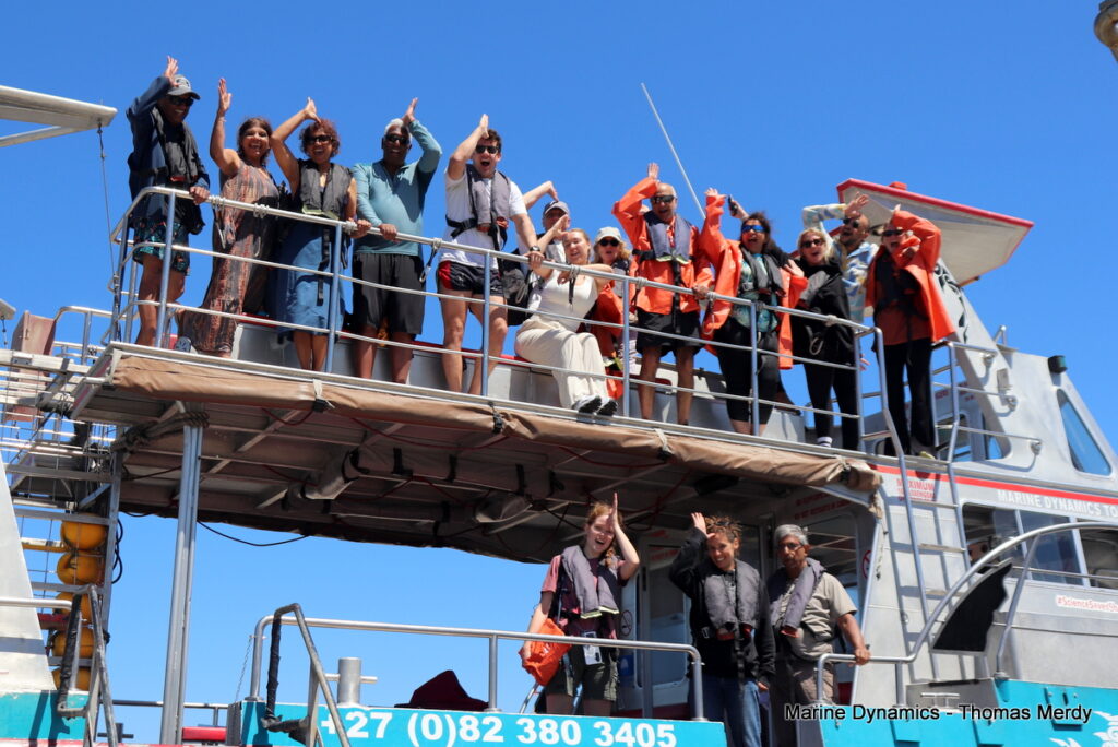Shark cage diving, South Africa, Gansbaai