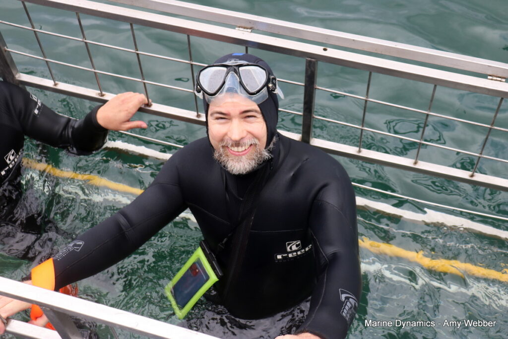 Shark cage diving, Gansbaai, South Africa