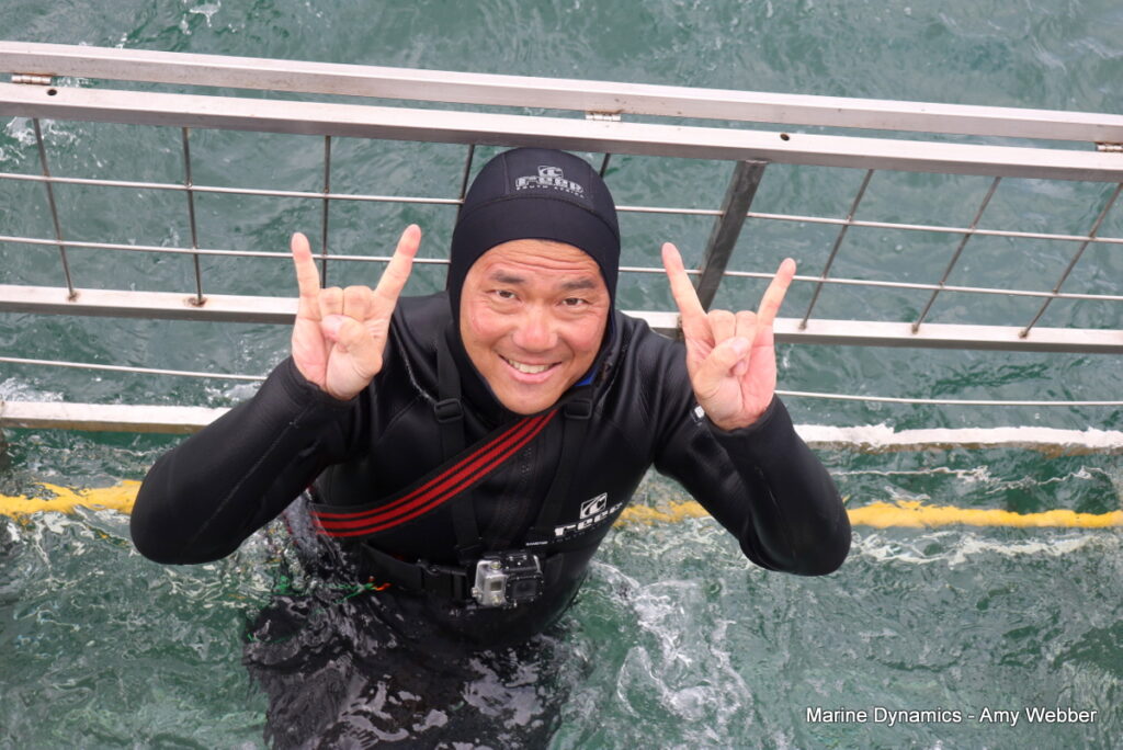 Shark cage diving, Gansbaai, South Africa