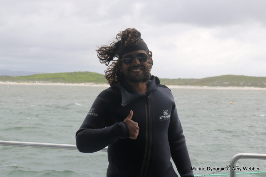 Shark cage diving, Gansbaai, South Africa
