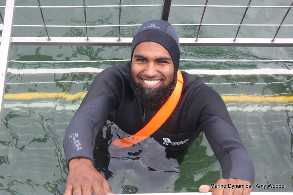 Shark cage diving, Gansbaai, South Africa
