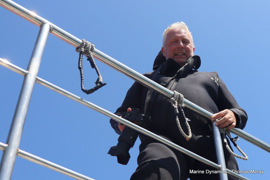 Shark cage diving, South Africa, Gansbaai