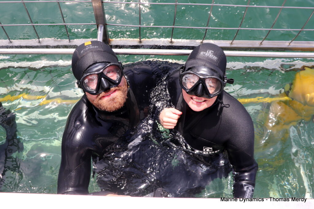 Shark cage diving, South Africa, Gansbaai
