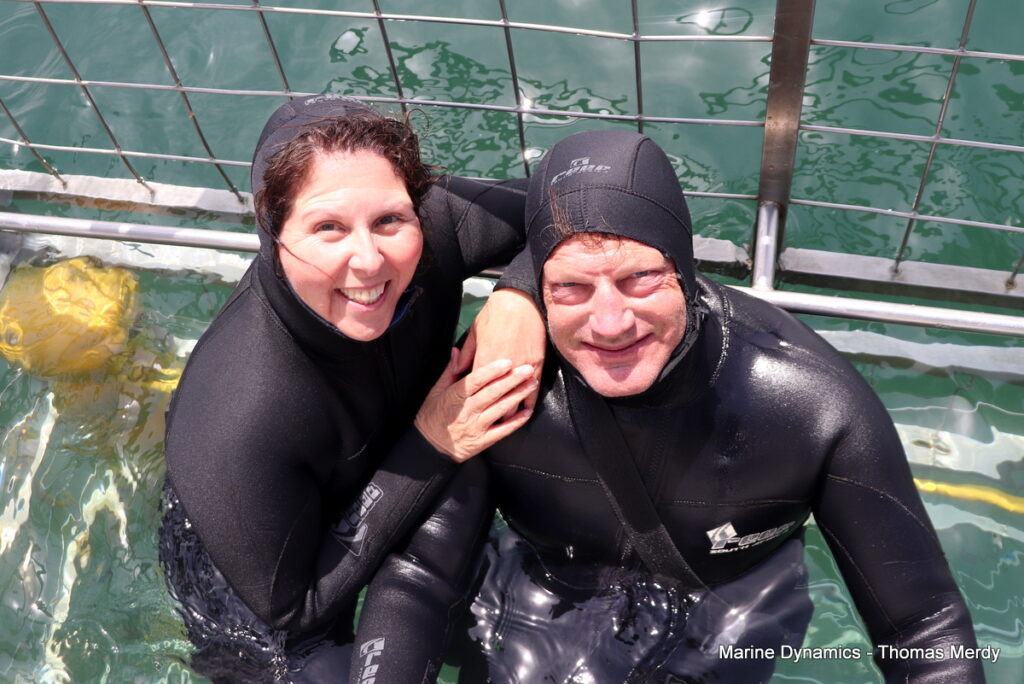 Shark cage diving, South Africa, Gansbaai